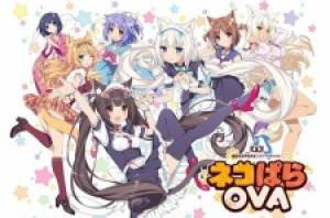 Nekopara, Nekopara