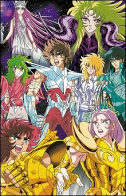 Saint Seiya: Meiou Hades Juuni Kyuu-hen, Saint Seiya: Meiou Hades Juuni Kyuu-hen