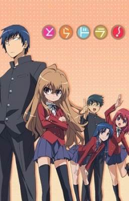 Toradora!, Toradora!