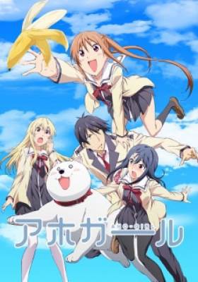 Aho Girl, Aho Girl