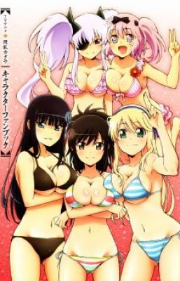 Senran Kagura Specials, Senran Kagura Specials