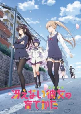 Saenai Heroine no Sodatekata, Saenai Heroine no Sodatekata