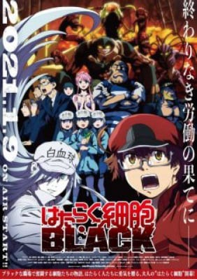 Hataraku Saibou Black (TV), Hataraku Saibou Black (TV)