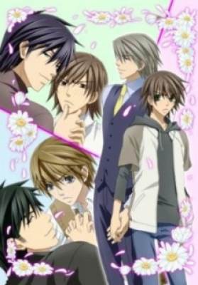 Junjou Romantica, Junjou Romantica